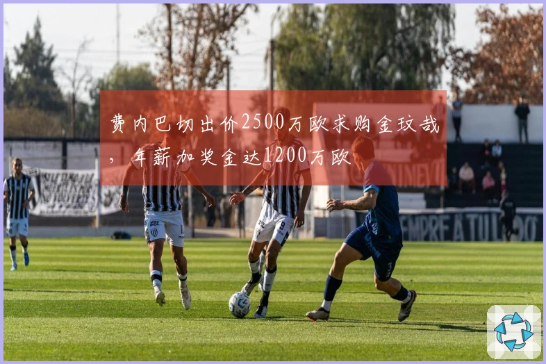 费内巴切出价2500万欧求购金玟哉，年薪加奖金达1200万欧